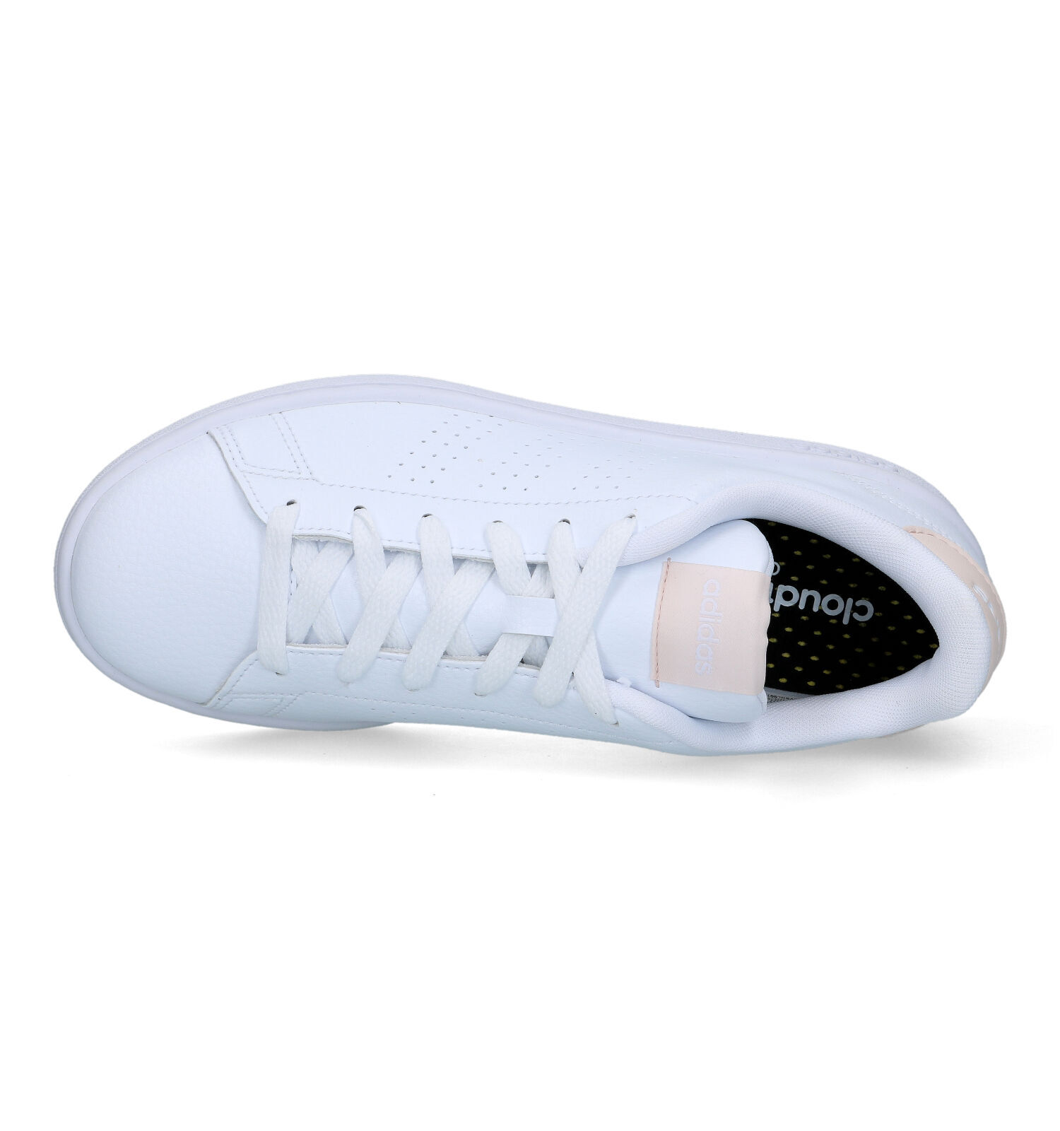 Adidas advantage dames wit hotsell