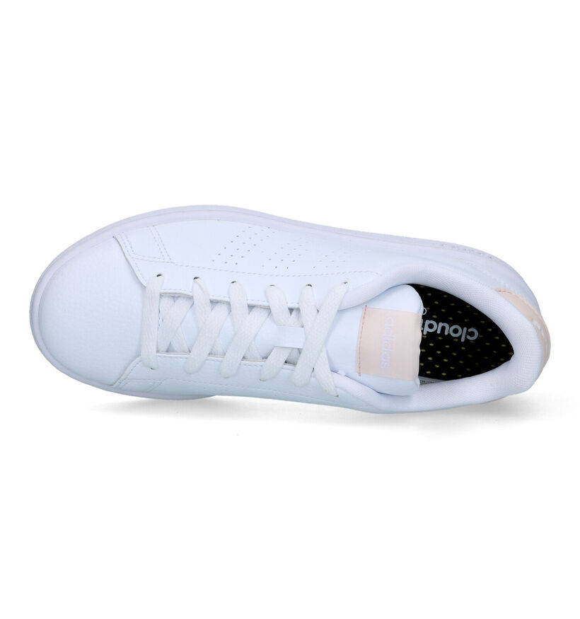 adidas Advantage Baskets en Blanc pour femmes (341435)