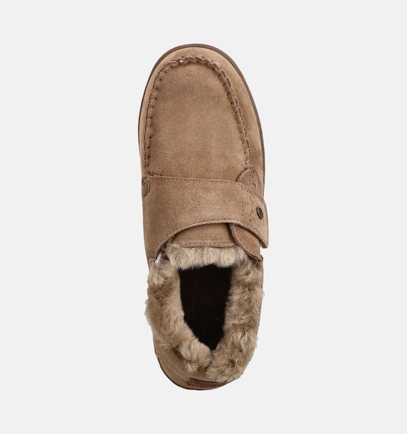 Warmbat Smithon Pantoufles en Marron pour hommes (379317)