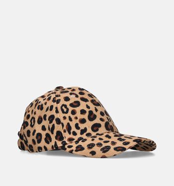 Dolce C. Casquettes Marron/Gris