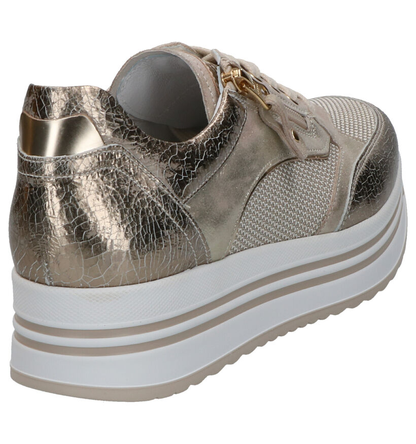 NeroGiardini Gouden Sneakers in leer (270586)