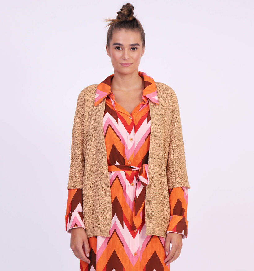 Dolce C. Oranje Cardigan (320825)
