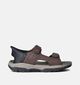 Skechers Tresmen Reece Bruine Sandalen voor heren (354591)