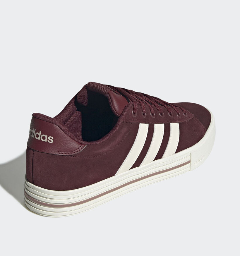 adidas Daily 4.0 Baskets en Bordeaux pour hommes (359505) - pour semelles orthopédiques
