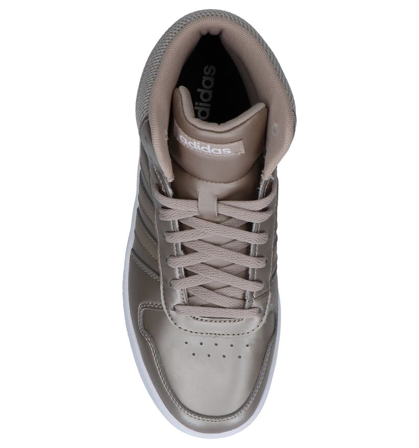 adidas Hoops Witte Sneakers voor dames (300158)