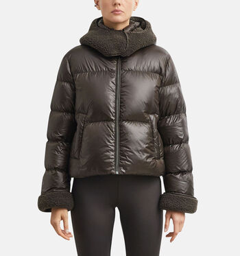 comma Jassen Bruin