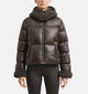 comma Manteau Puffer en Marron fonc&eacute; pour femmes (381187)