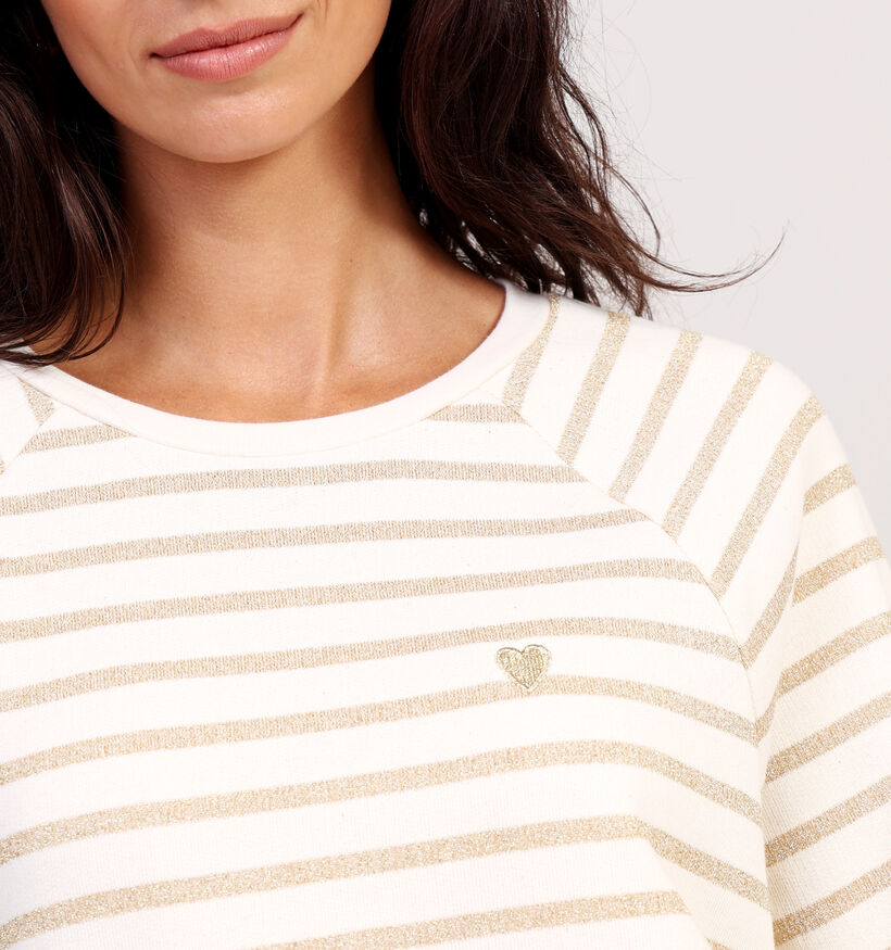 Pieces Greta Sweatshirt en Beige pour femmes (361155)