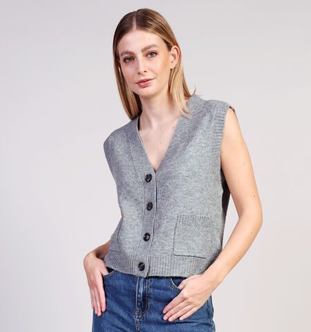 JDY Vestes Beige/Gris