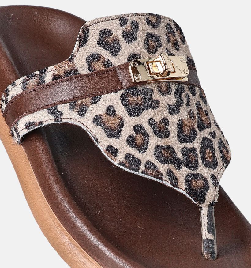 Laurent David Bruine Slippers voor dames (357849)