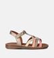 Little David Jania Sandalen Goud voor meisjes (355922)