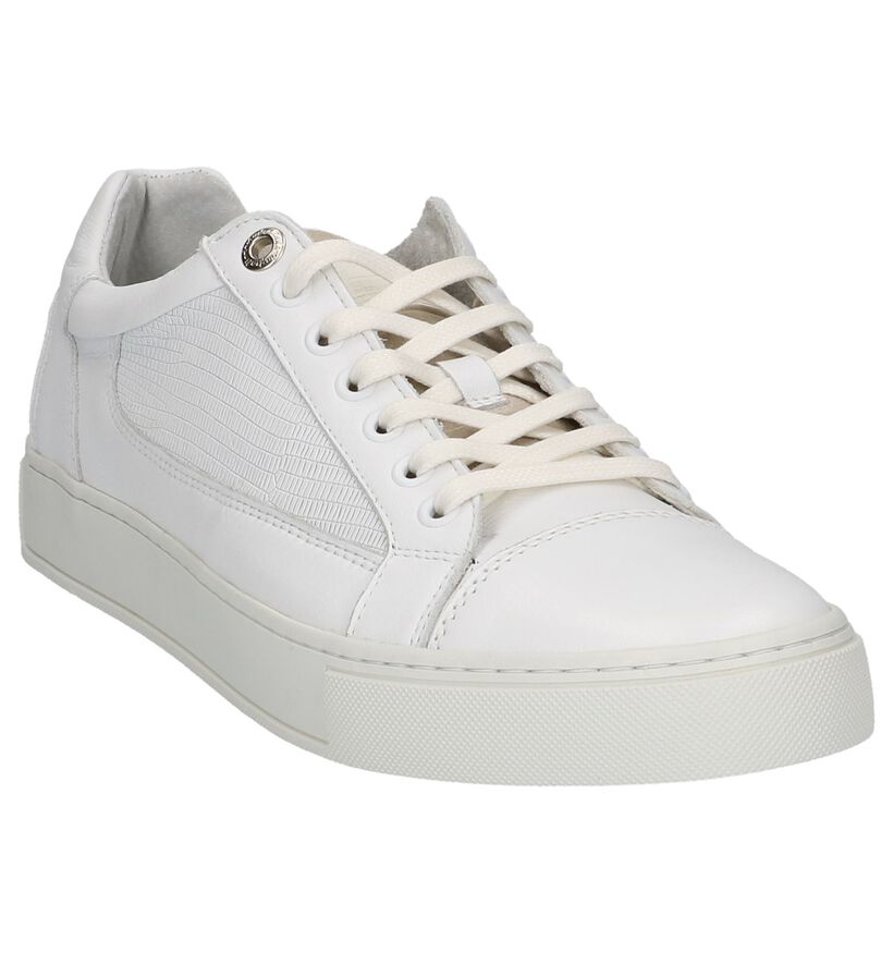 Australian Baskets basses en Blanc en cuir (213065)