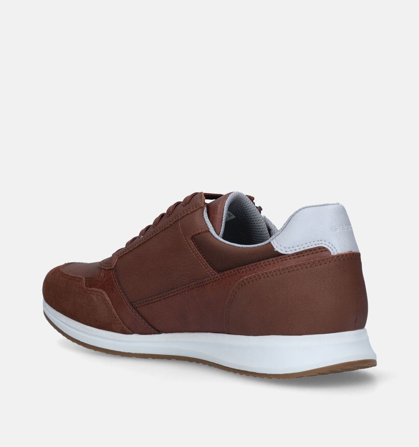 Geox Avery Chaussures à lacets en Cognac pour hommes (335684)