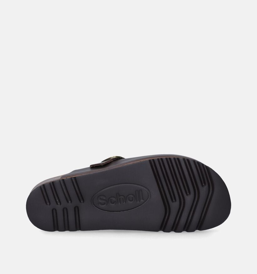 Scholl Fae New Bruine Slippers voor dames (348849)