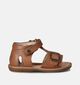 Naturino Quarzo Cognac Sandalen voor jongens, meisjes (356481)