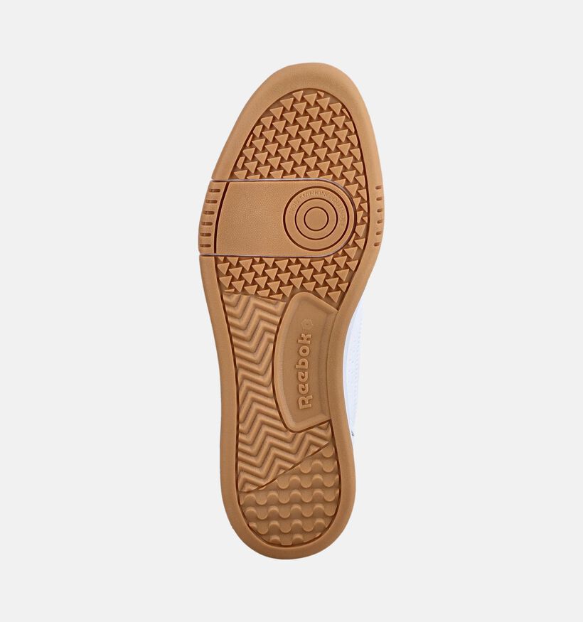 Reebok Court Baskets basses en Blanc pour hommes (376443)