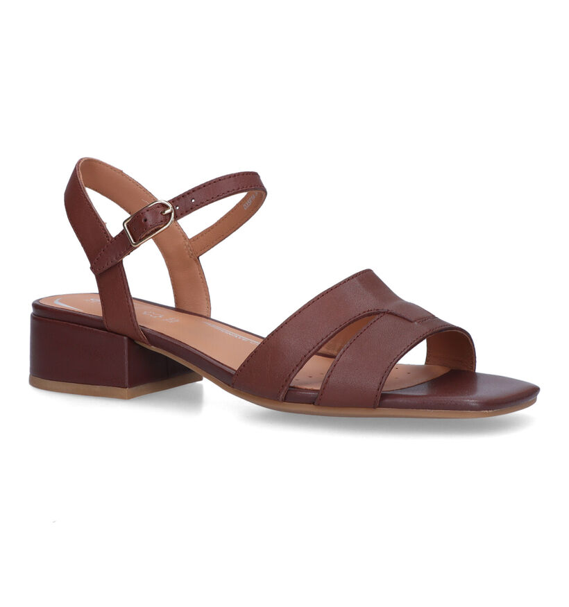 Geox Genziana Sandales en Marron en cuir (321140)