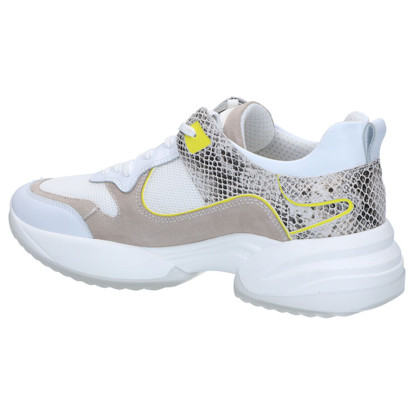 NeroGiardini Baskets casual en Blanc en cuir (273085)