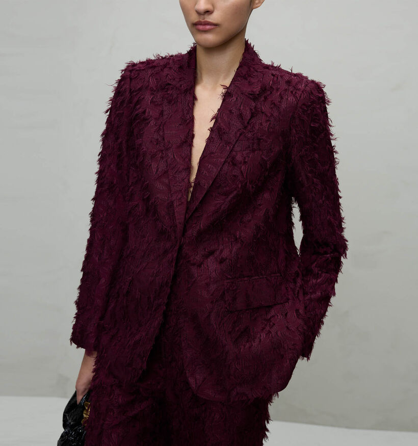 Vila Wagne Blazer en Bordeaux pour femmes (365591)