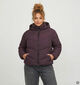ONLY Carmakoma Clair Bruine Pufferjas met Kap voor dames (378389)