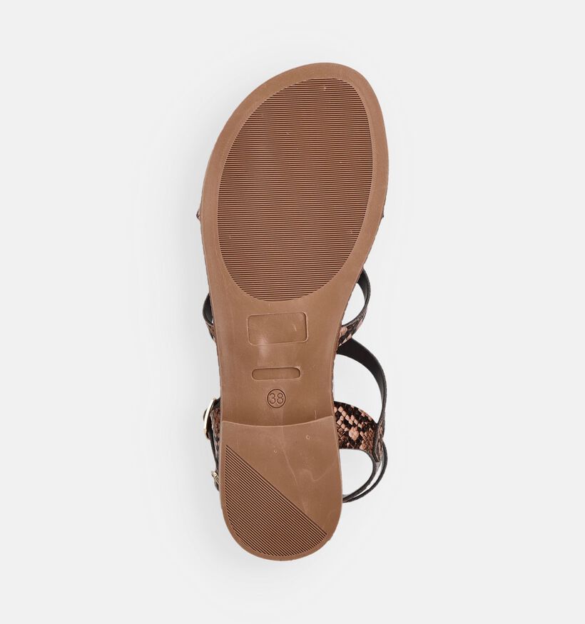 Scapa Moka Sandales plates en Marron pour femmes (373297)