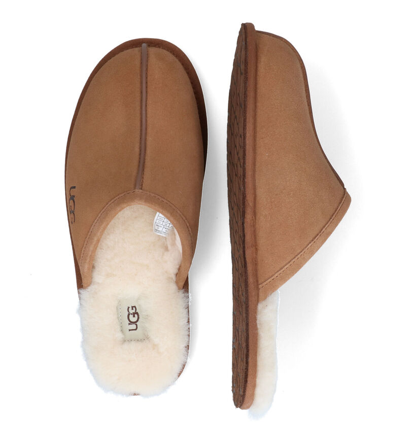 UGG Scuff Cognac Pantoffels voor heren (313969)