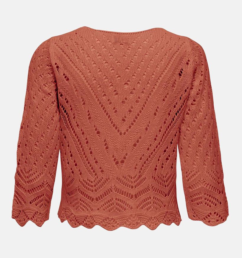 JDY New Sun Zwarte Cropped Trui voor dames (341111)