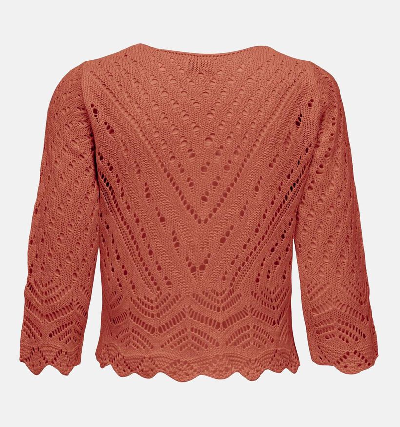 JDY New Sun Oranje Cropped Trui voor dames (341115)