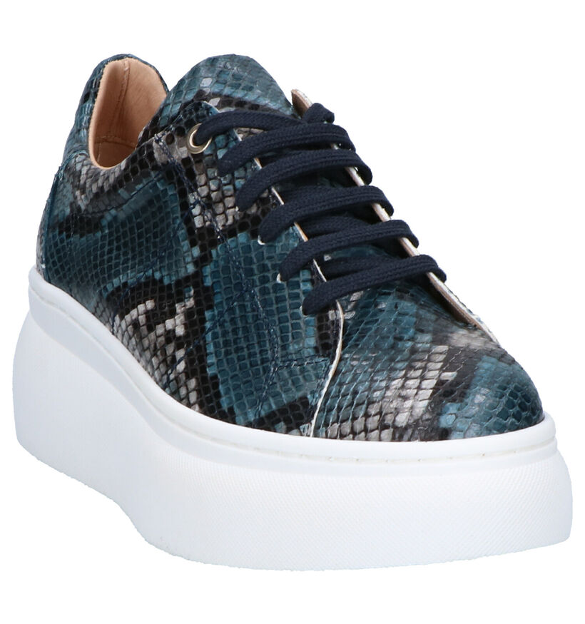 Frida Montana Blauwe Veterschoenen in leer (262447)
