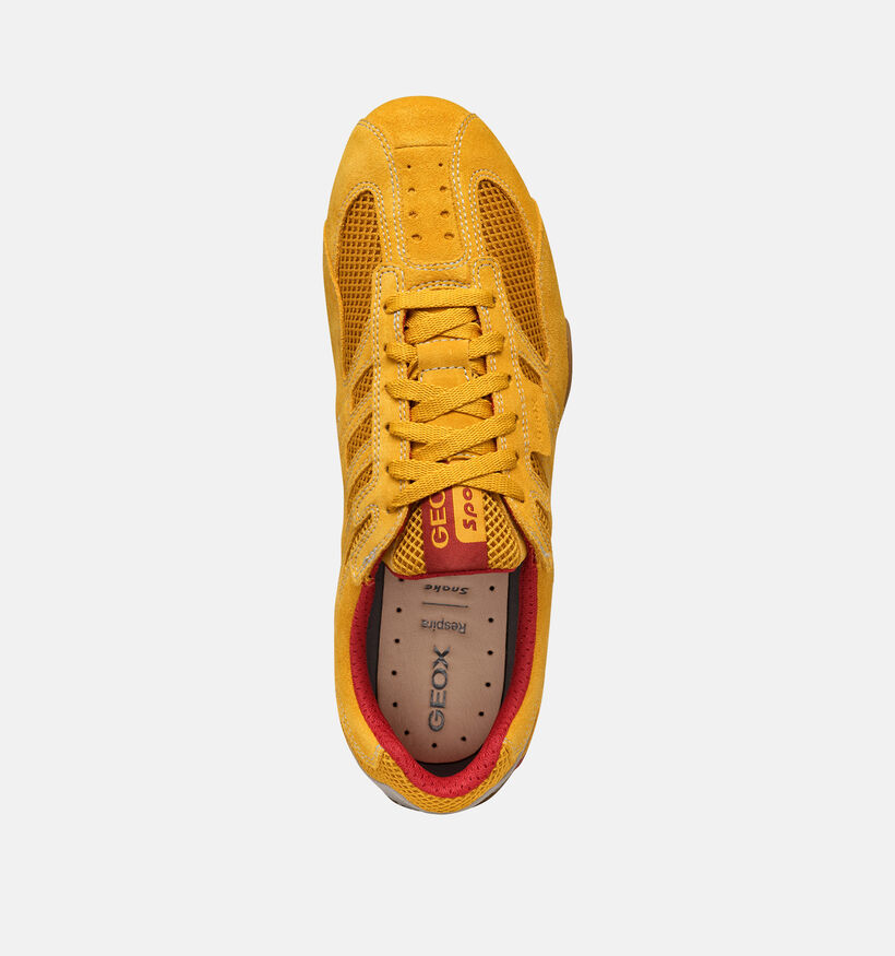 Geox Snake Original Baskets en Jaune pour hommes (369121) - pour semelles orthop&eacute;diques