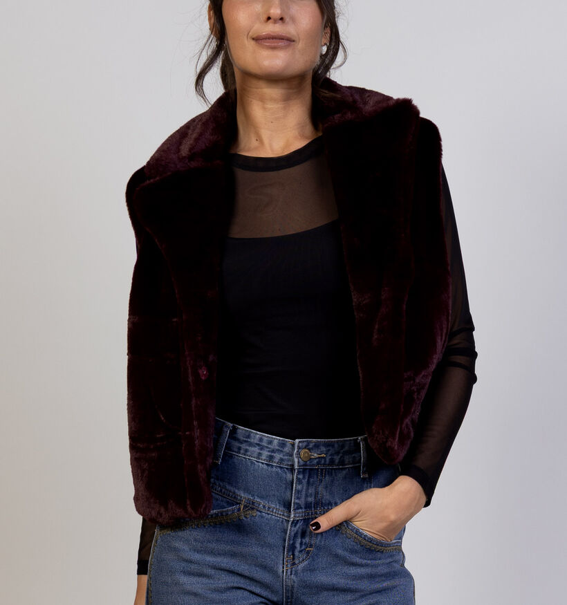 Mexx Blazer en Bordeaux pour femmes (365615)