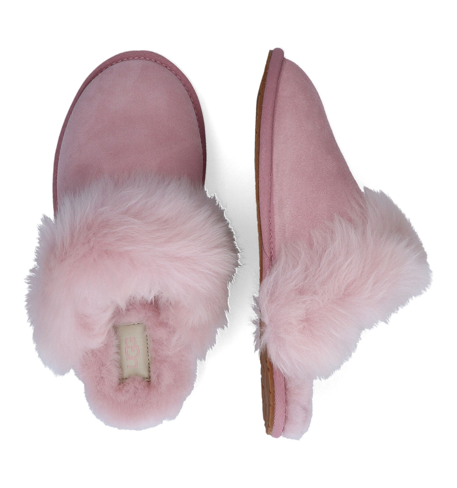 UGG Scuff Roze Pantoffels Dames Pantoffels Online op TORFS.BE