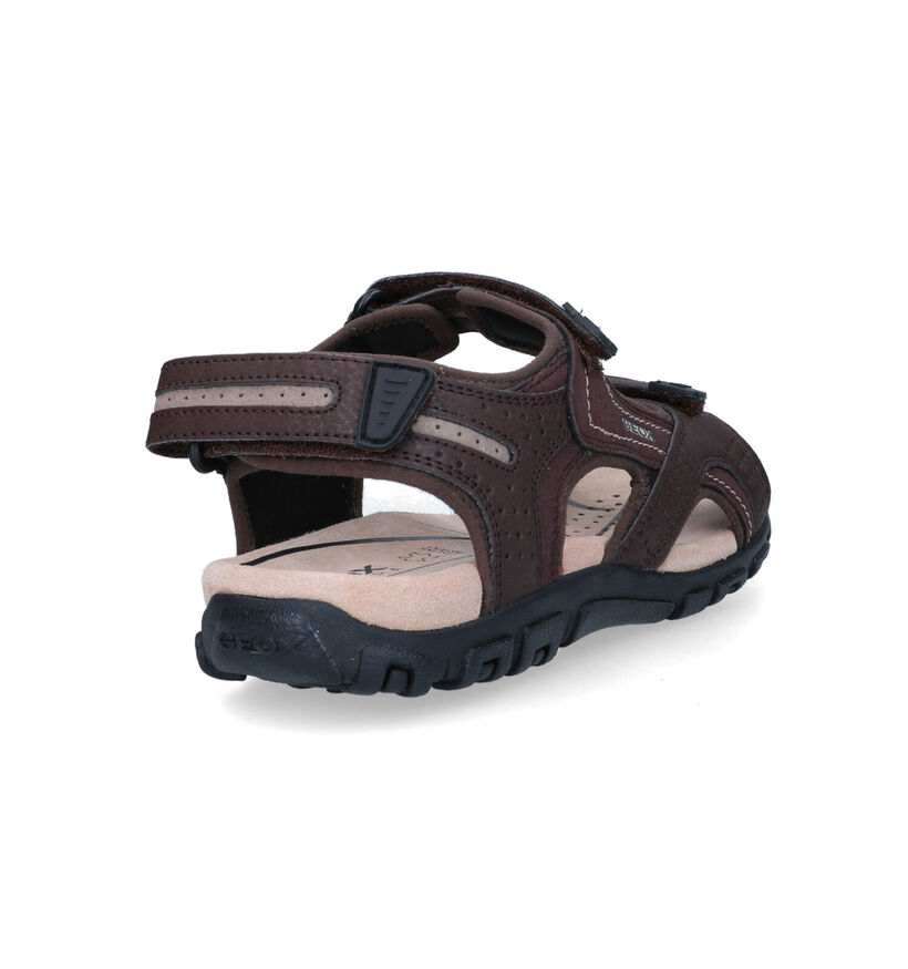 Geox Strada Sandales en Brun en simili cuir (322257)