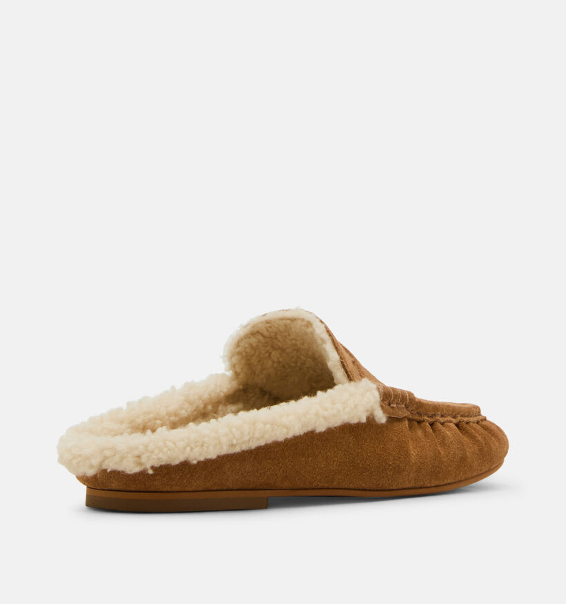 Steve Madden Rafe Loafers en Cognac pour femmes (378155)