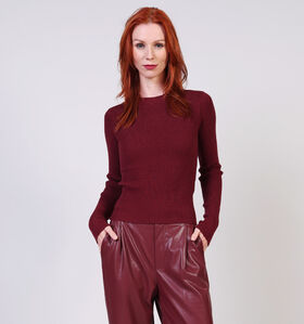 Pieces Mira Longsleeves en Bordeaux pour femmes (361124)