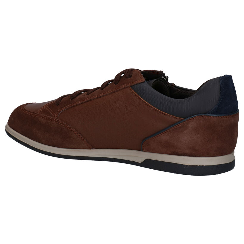 Geox Renan Chaussures à lacets en Brun en daim (278959)