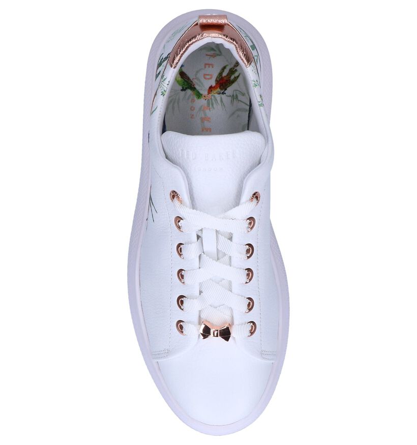 Witte Sneakers Ted Baker Ailbe 4 in leer (241709)