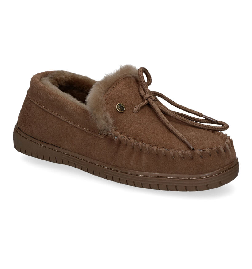 Warmbat Koala Bruine Pantoffels voor dames (314443)