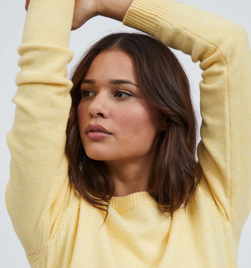 Vila Roze Trui (311630)