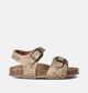 Little David Barbados 1 Sandales pour bébé en Taupe pour filles, garçons (356050)