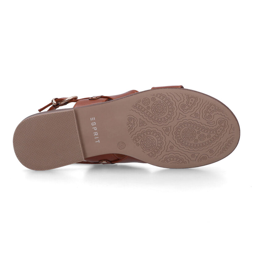 Esprit Cognac Sandalen voor dames (320799)