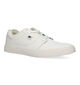 DC Shoes Tonik TX Witte sneakers voor heren (320703) - geschikt voor steunzolen