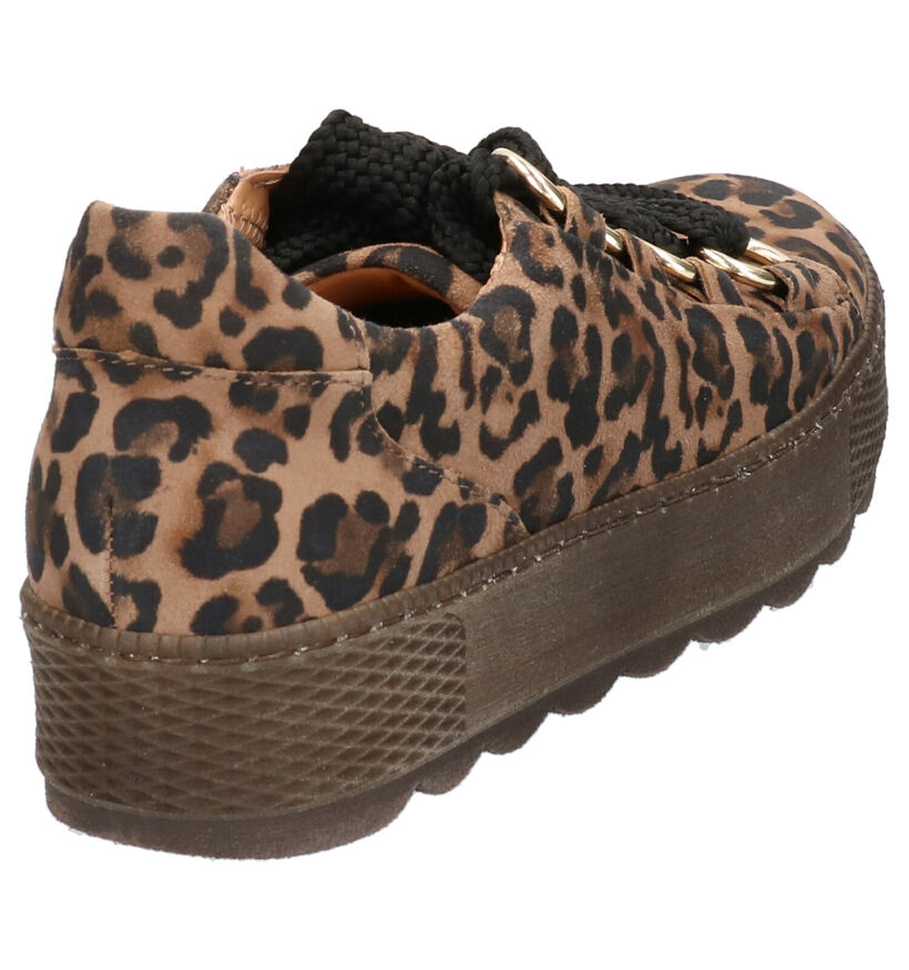 Gabor Comfort Chaussures à lacets en Marron en daim (260097)