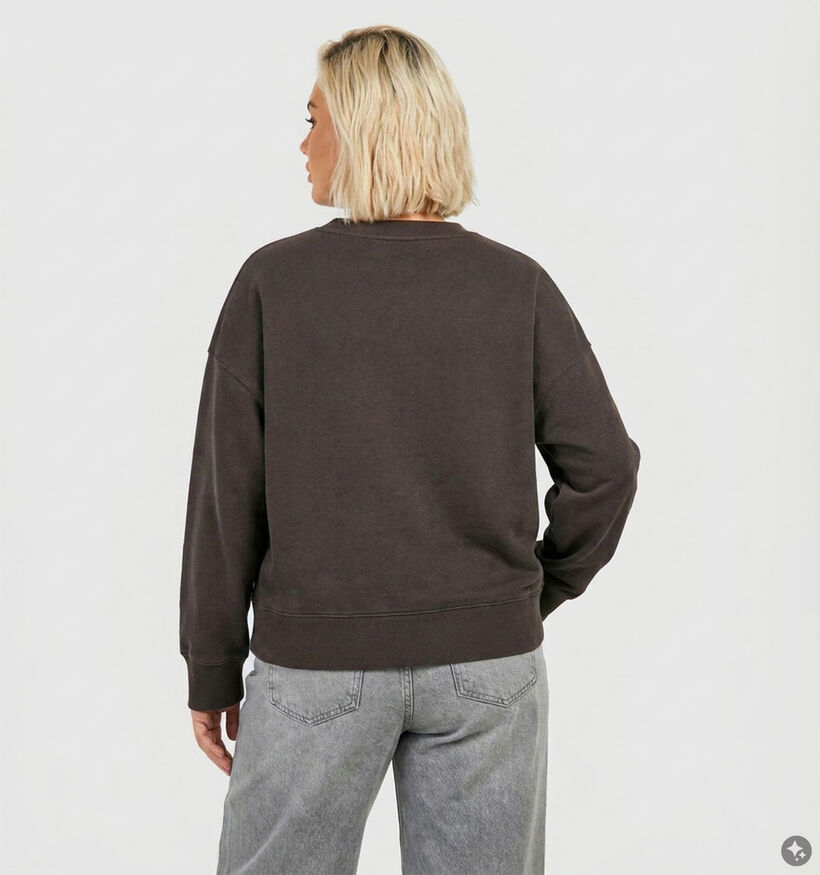 Vero Moda Curve Caisa Donkerbruine Paris Sweater voor dames (382209)