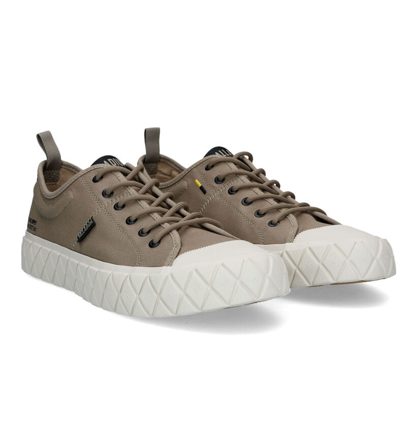 Palladium Palla Ace Chaussures à lacets en Beige pour hommes (320242)