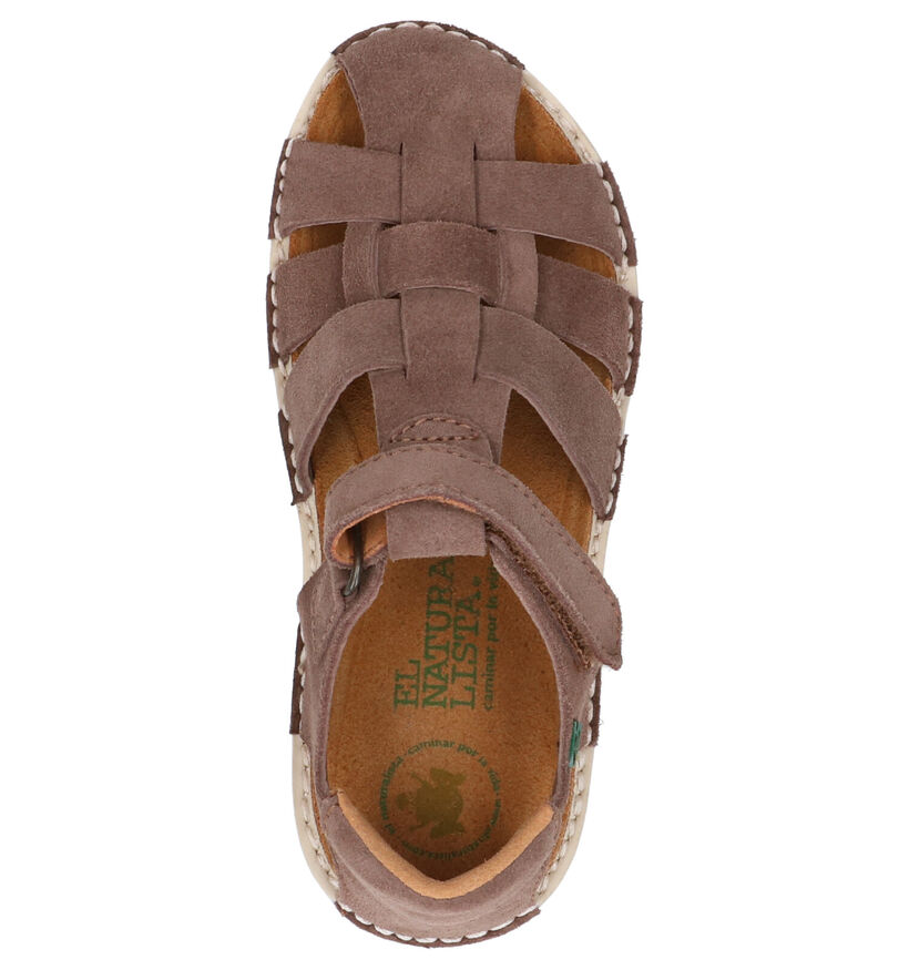 El Naturalista Terra Blauwe Sandalen in nubuck (288640)