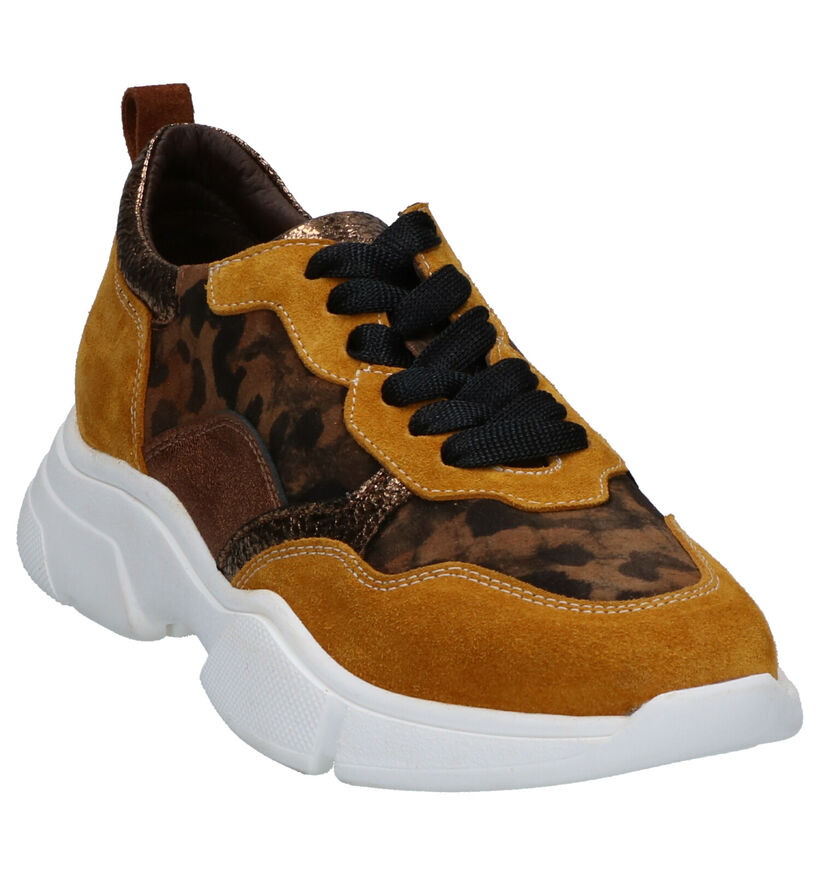 Maripé Chaussures à lacets en Jaune ocre en daim (259309)