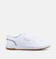 Reebok Court Baskets basses en Blanc pour hommes (376443)