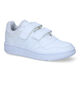 adidas Hoops 3.0 Witte Sneakers in kunstleer (318803)