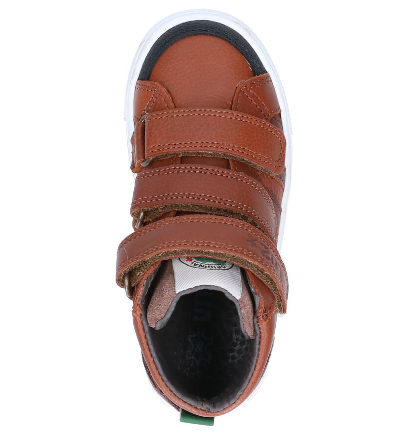 Little David Mario Chaussures hautes en Cognac en cuir (261376)